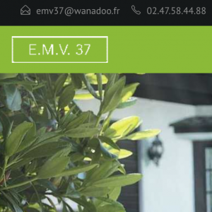 Logo Emv37