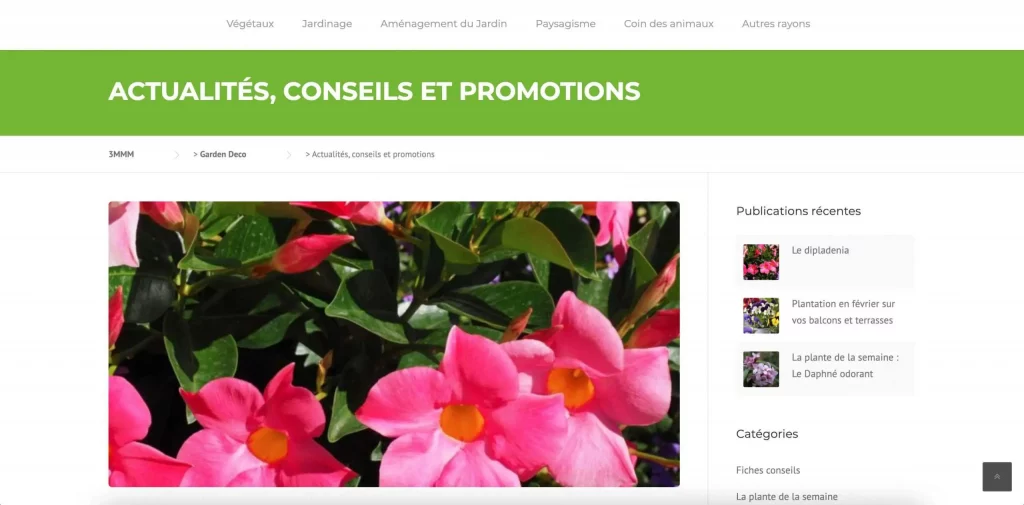 Capture Décran 2020 12 02 À 17.19.04 Scaled